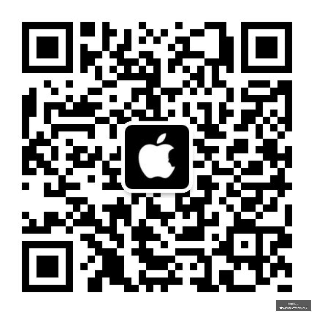 世女杯激战,在即,中国女篮迎,新葡京娱乐城app官网,新葡京娱乐城app下载,新葡京娱乐城app登录,新葡京娱乐城app平台