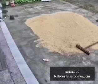 森林狼首发,阵容,深度解析三,新葡京娱乐城app官网,新葡京娱乐城app下载,新葡京娱乐城app登录,新葡京娱乐城app平台